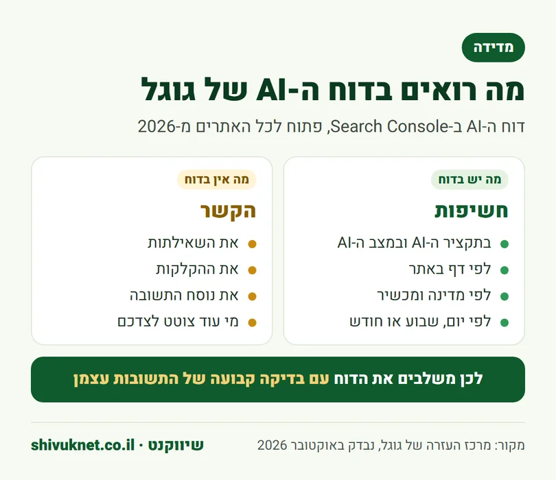 מה מופיע בדוח הביצועים של תכונות ה-AI בכלי של גוגל לבעלי אתרים ומה חסר בו