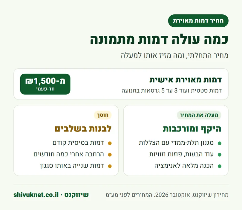 מחיר דמות מאוירת מתמונה מ-₪1,500 ומה מעלה או חוסך בעלות