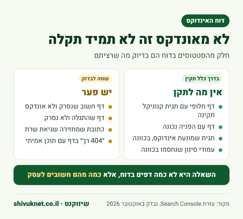 השוואה בין סטטוסים תקינים בדוח האינדוקס לבין סטטוסים שכדאי לבדוק